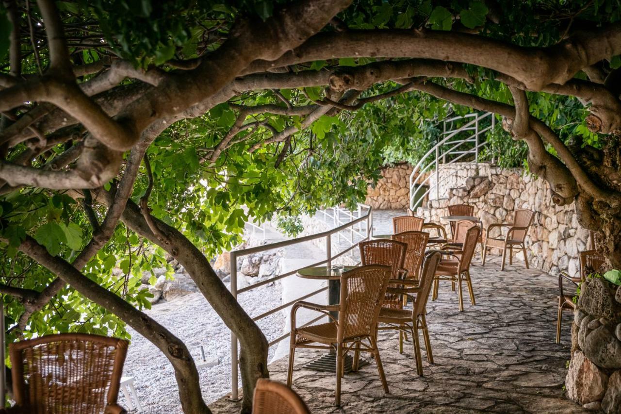 فيلاز بلات مْليني المظهر الخارجي الصورة